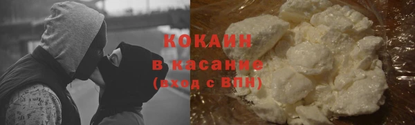 сатива Гусев