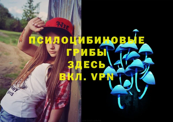 сатива Гусев