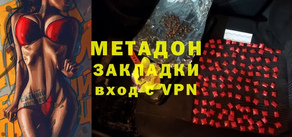 сатива Гусев